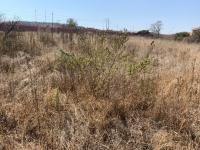  of property in Polokwane