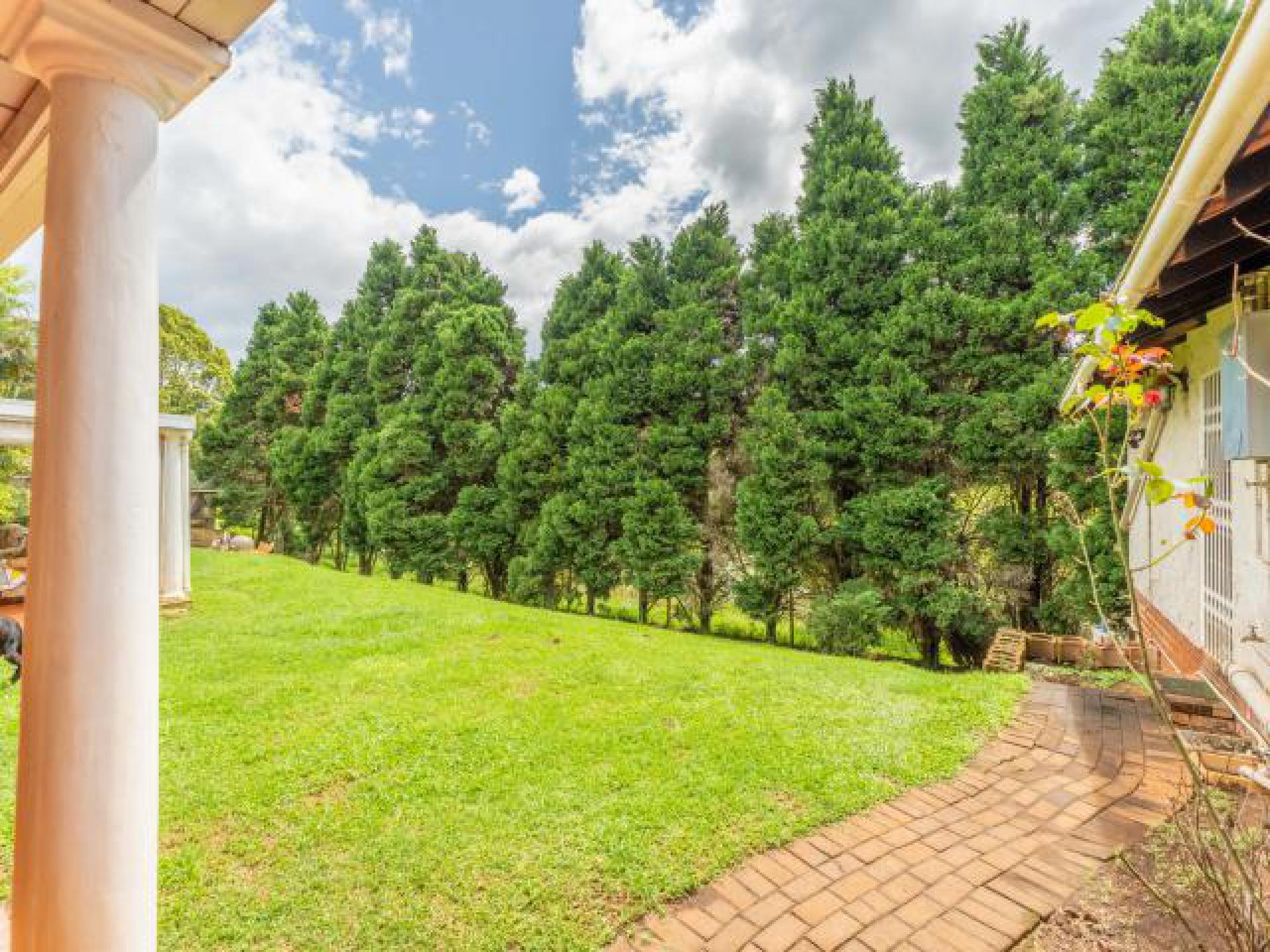 Backyard of property in Everton 