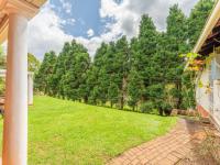 Backyard of property in Everton 