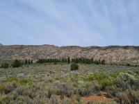  of property in Montagu