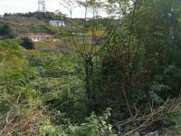  of property in Shulton Park