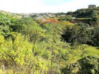  of property in Shulton Park