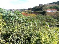  of property in Shulton Park