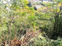  of property in Shulton Park
