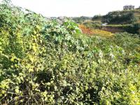  of property in Shulton Park
