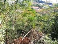  of property in Shulton Park