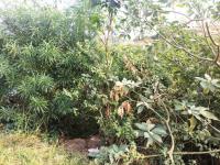  of property in Shulton Park