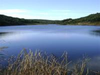 Farm for Sale for sale in Bathurst