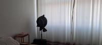  of property in Durban Central
