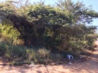  of property in Thohoyandou