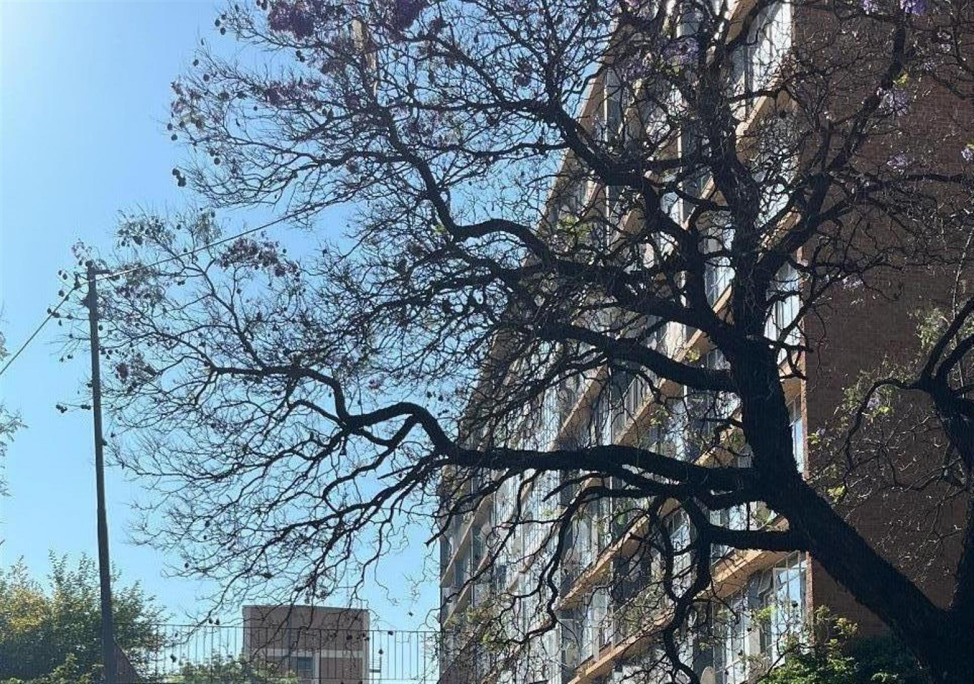 Front View of property in Sunnyside