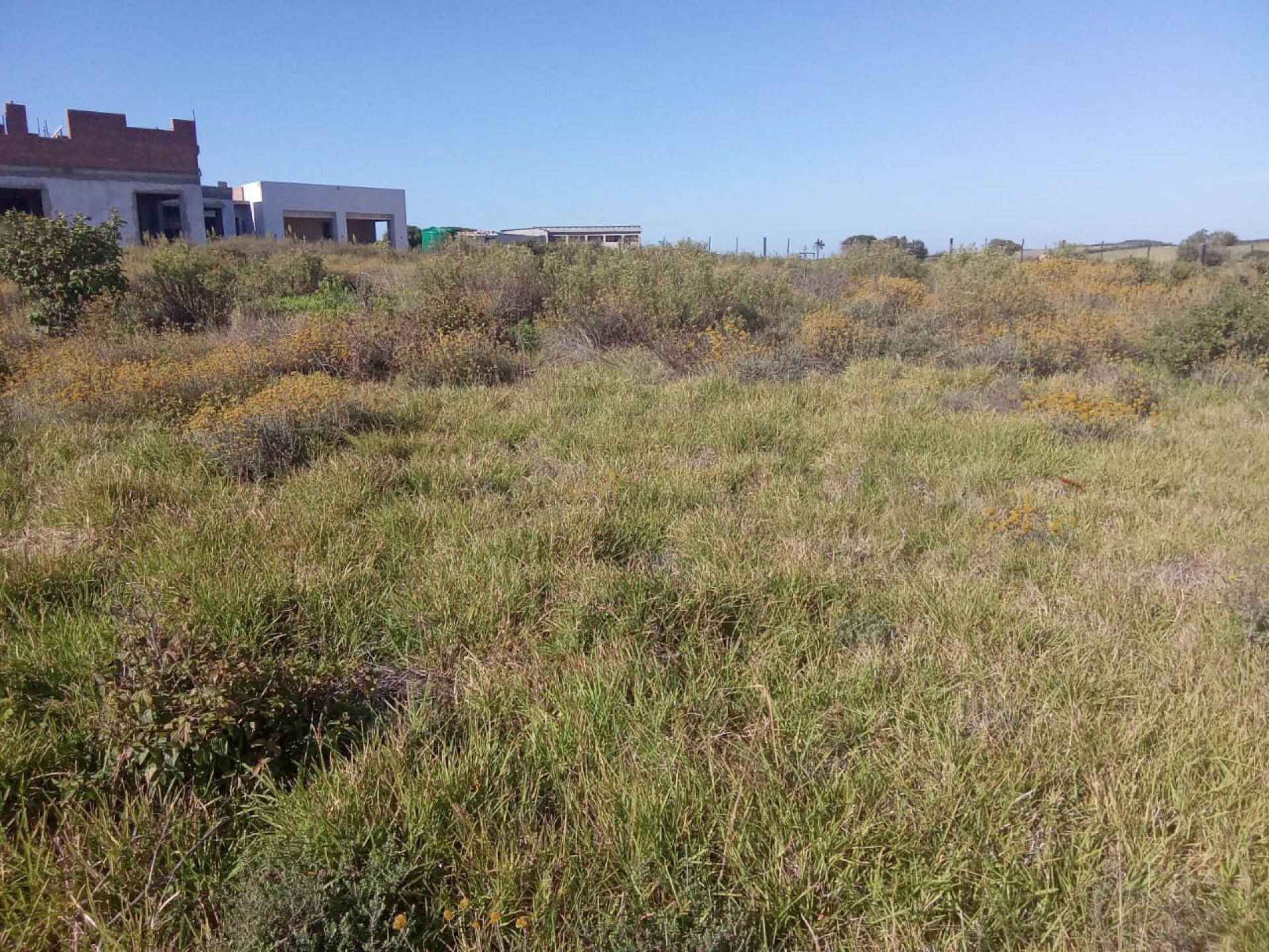 Front View of property in Forest Downs