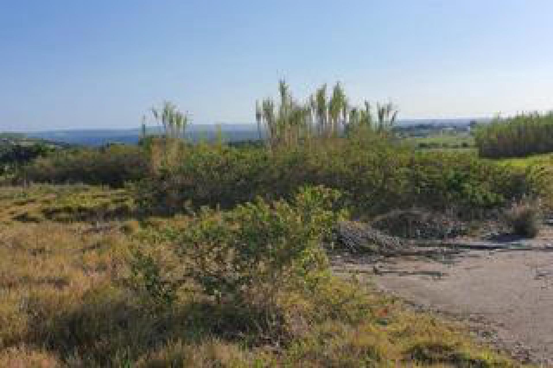 Spaces of property in Forest Downs