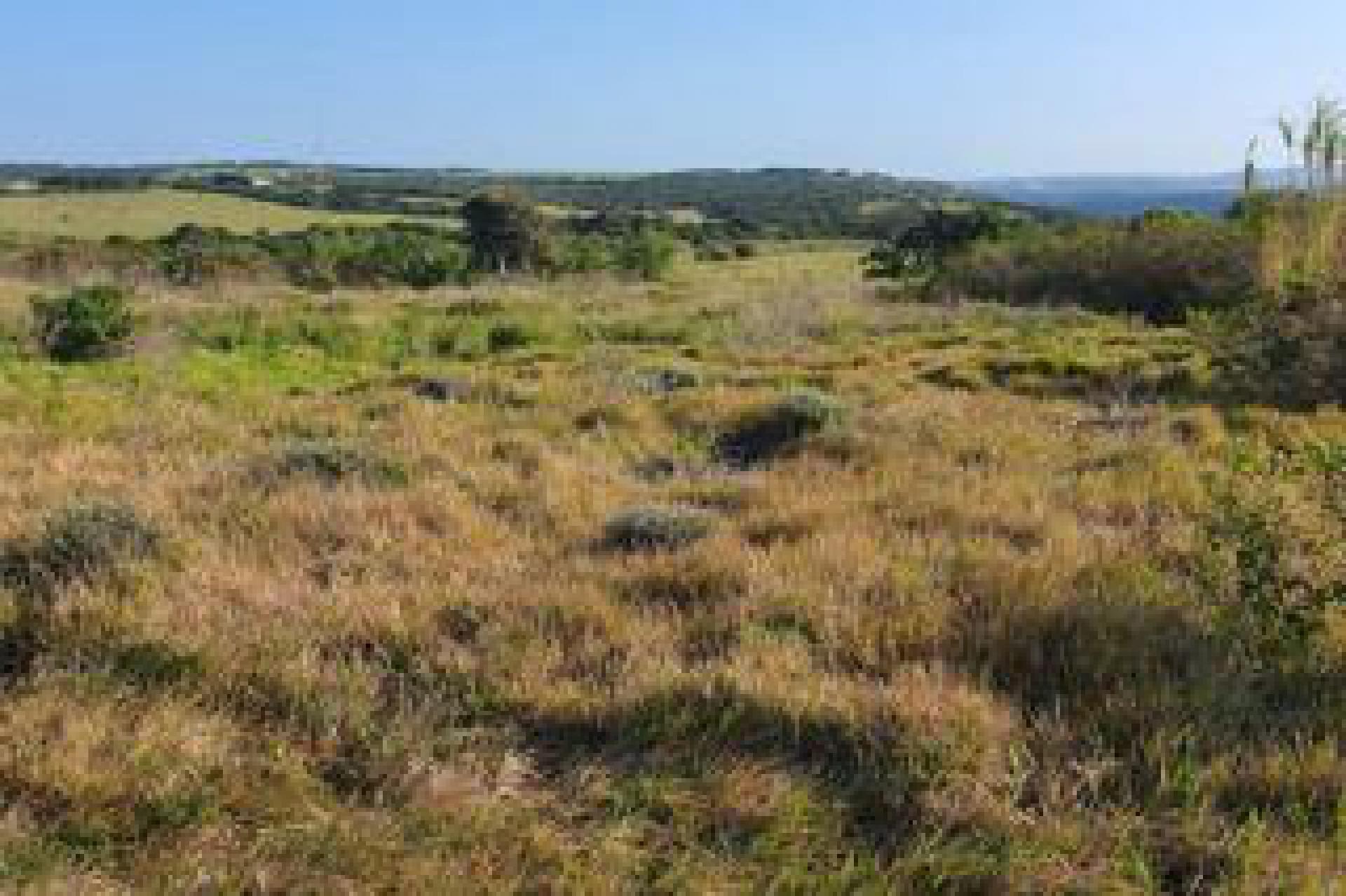 Spaces of property in Forest Downs