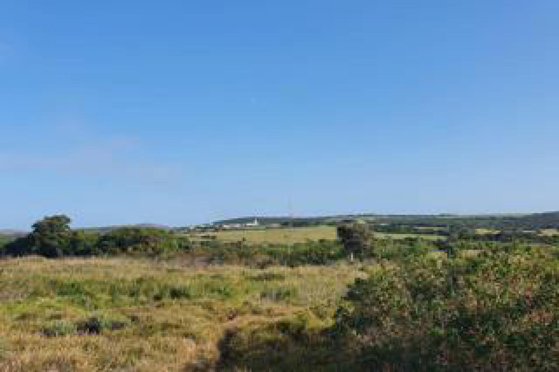 Spaces of property in Forest Downs