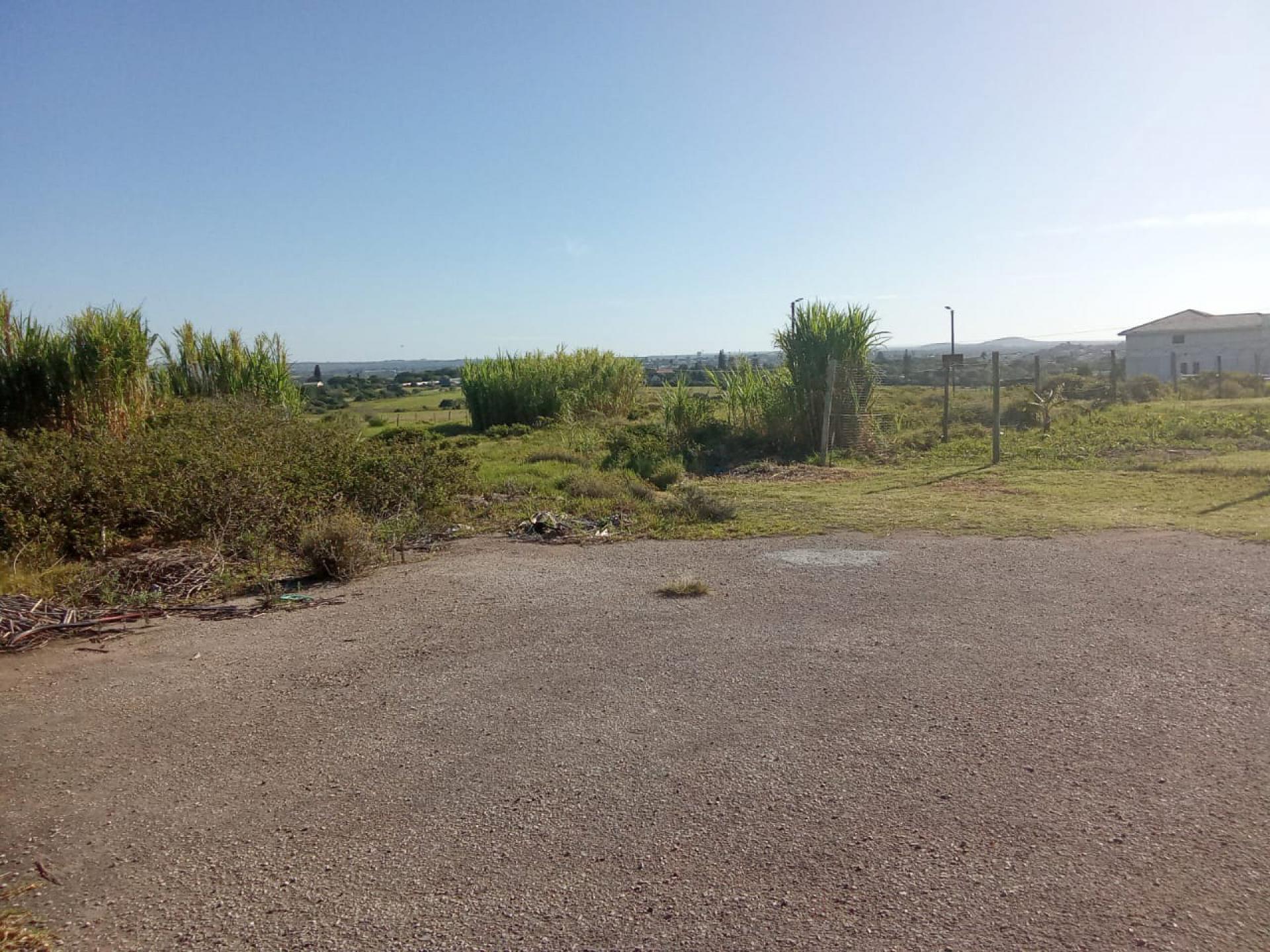 Spaces of property in Forest Downs