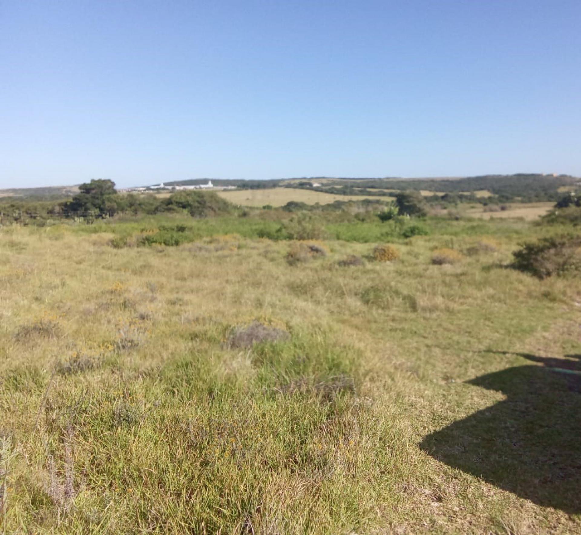 Spaces of property in Forest Downs