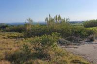 Spaces of property in Forest Downs