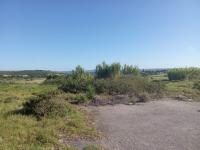 Spaces of property in Forest Downs