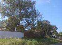 Front View of property in Scottsville PMB