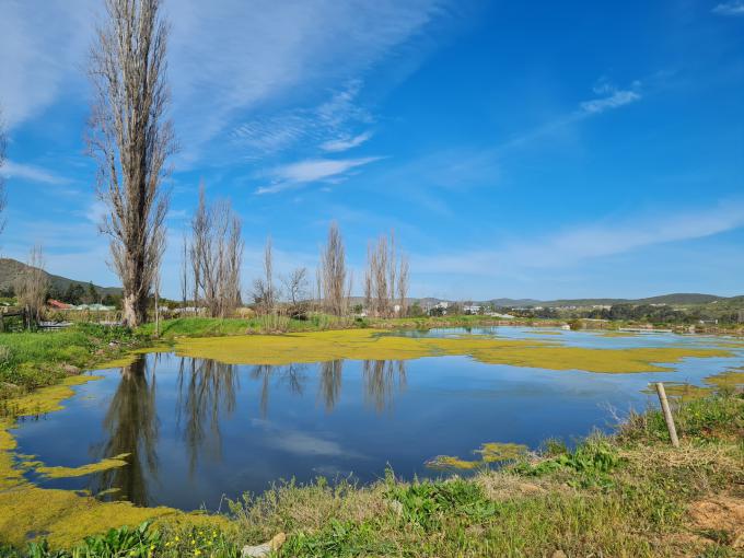 Smallholding for Sale For Sale in Bonnievale - MR592173