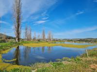 Smallholding for Sale for sale in Bonnievale