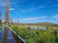  of property in Bonnievale