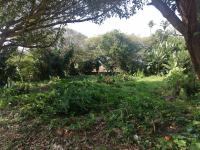 Land for Sale for sale in Hibberdene