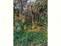 Land for Sale for sale in Hibberdene