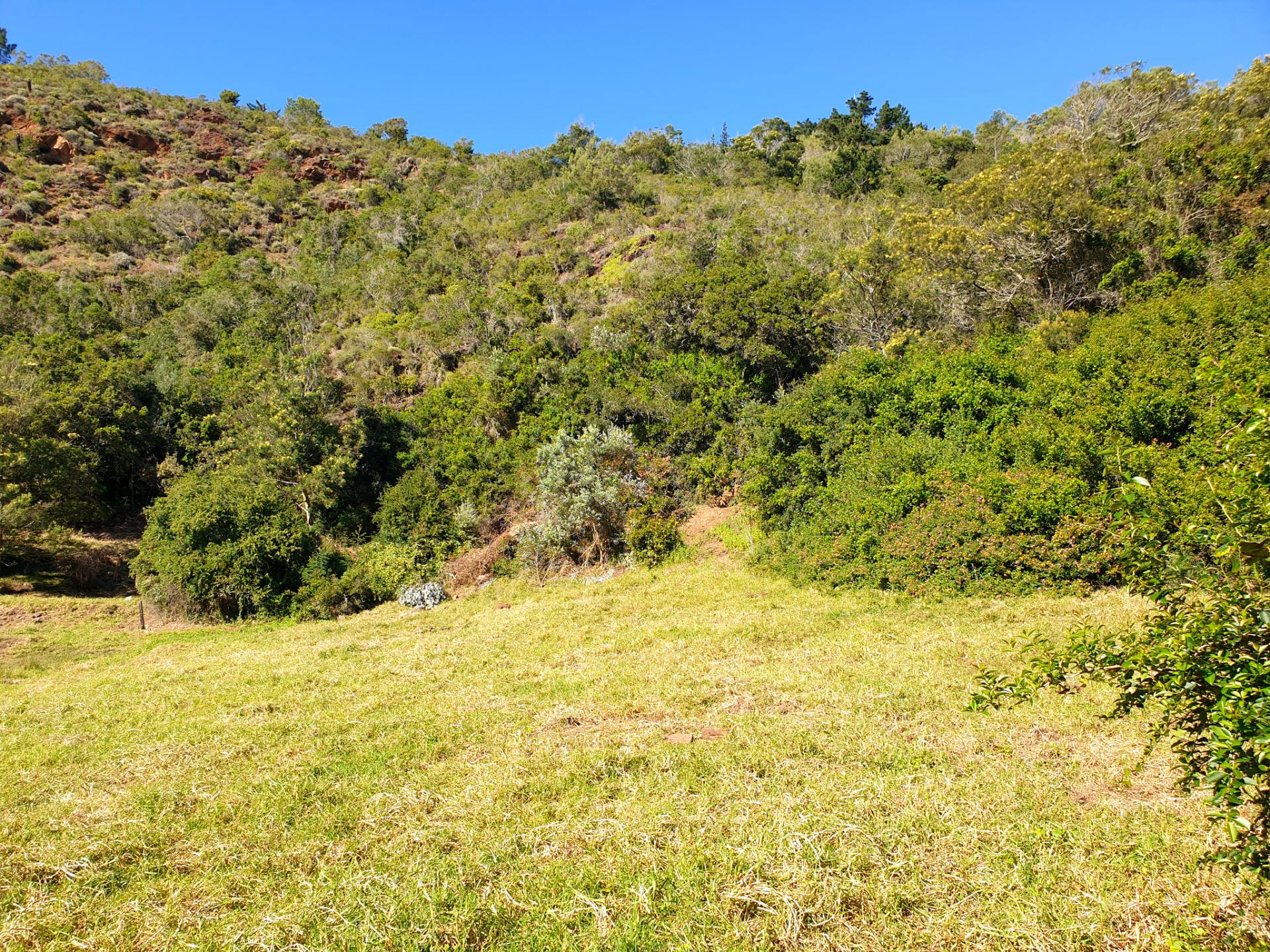  of property in Victoria Bay