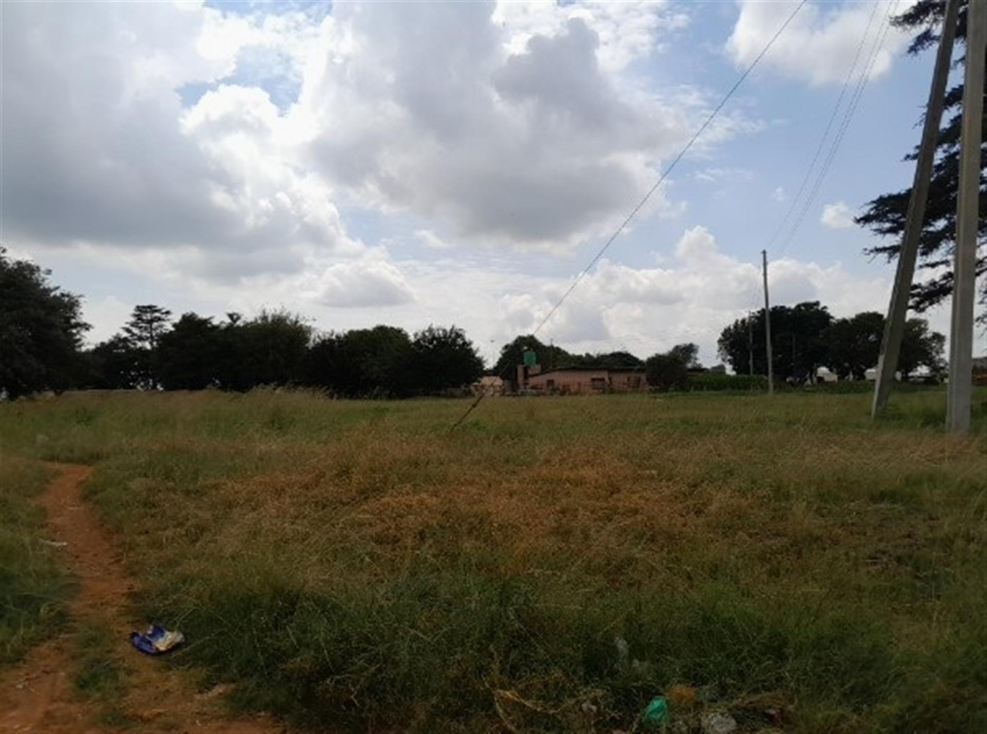 Front View of property in Mapleton