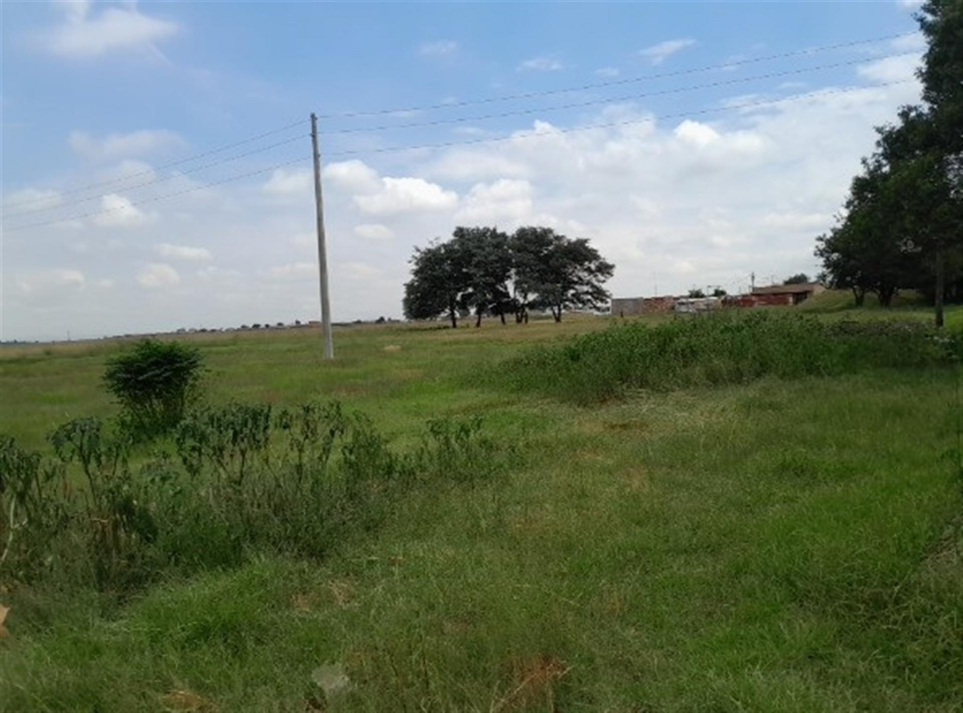 Front View of property in Mapleton
