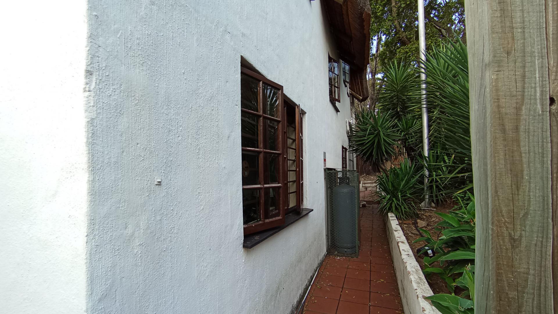 Backyard of property in Buccleuch