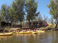 Farm for Sale for sale in Parys