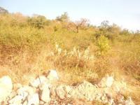 Land for Sale for sale in Nelspruit Central