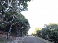  of property in Port Alfred