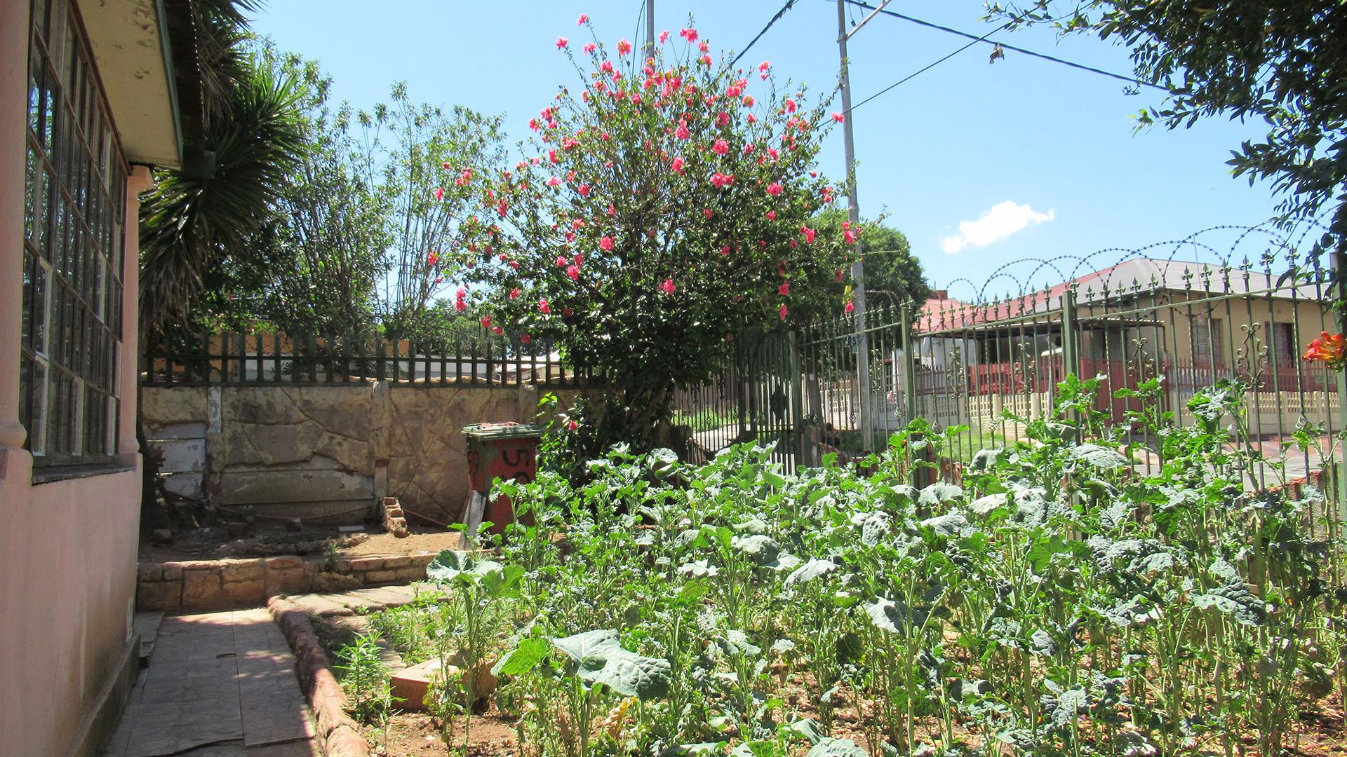 Front View of property in Rosettenville