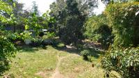 Backyard of property in Pinetown 