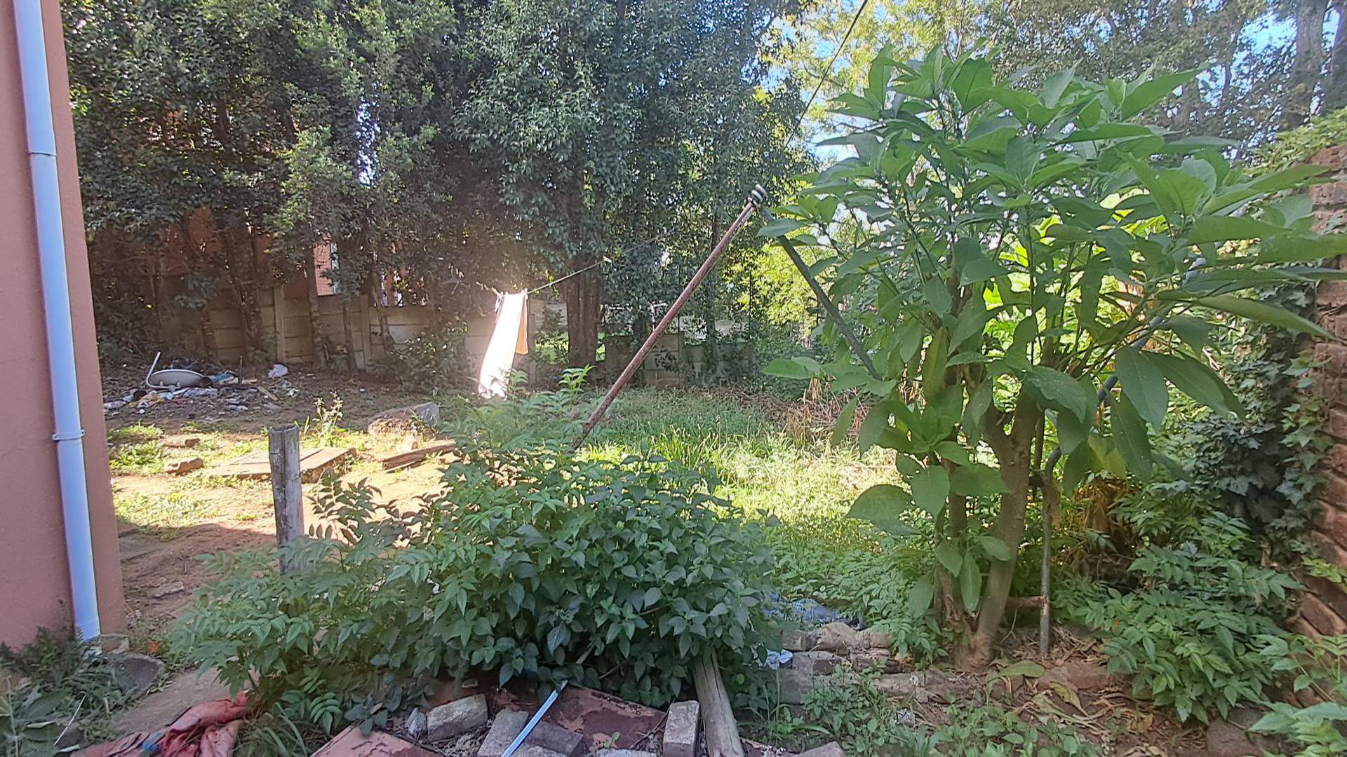 Backyard of property in King Williams Town