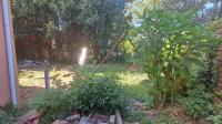 Backyard of property in King Williams Town