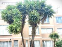 of property in Primrose