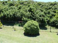 Backyard of property in St Francis Bay