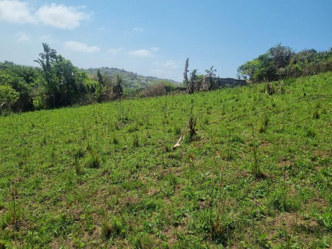 Land for Sale For Sale in Hibberdene - MR596532