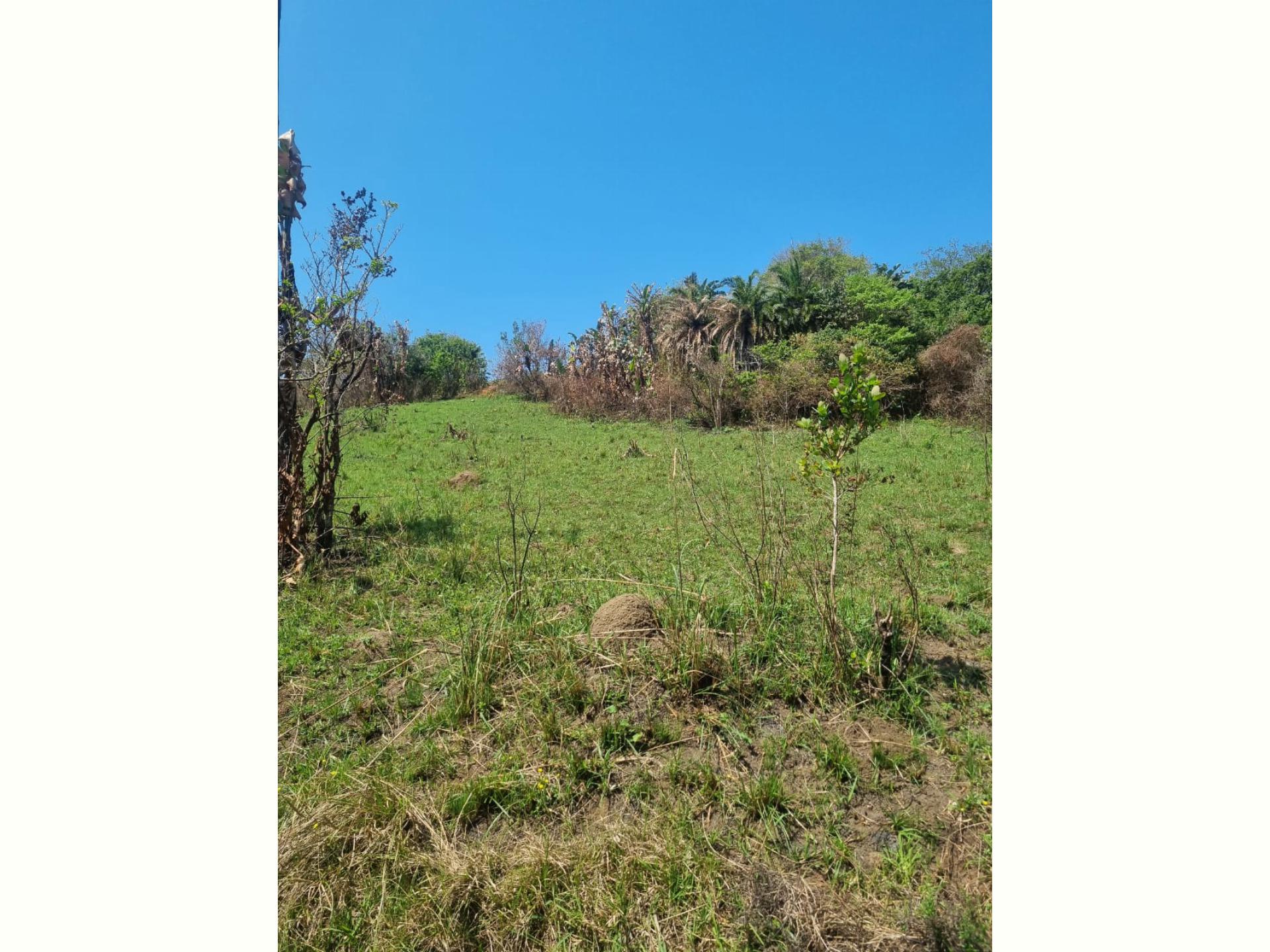  of property in Hibberdene