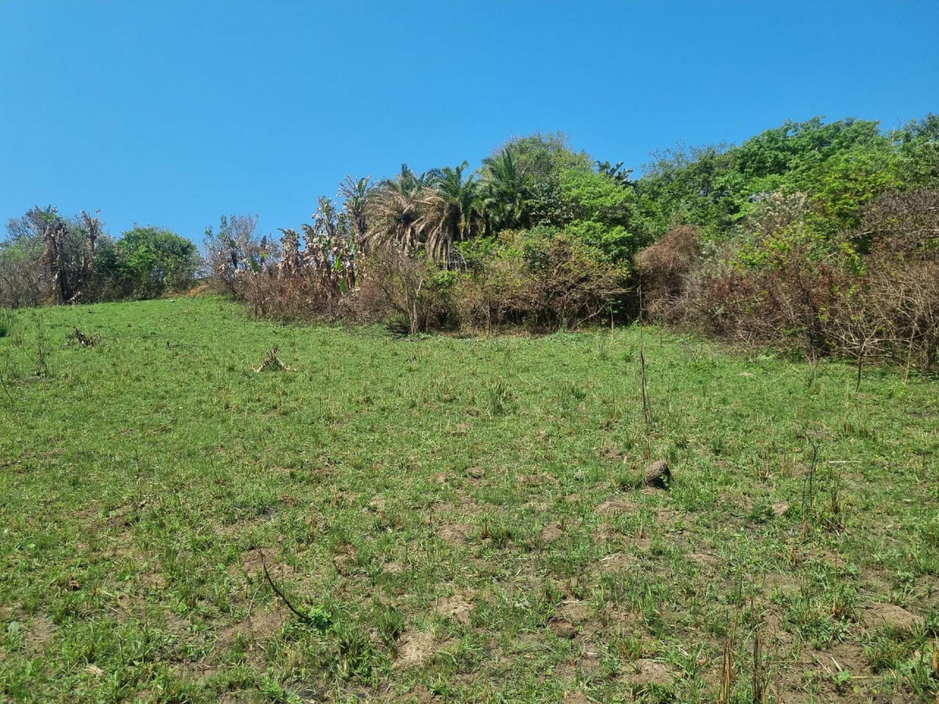  of property in Hibberdene