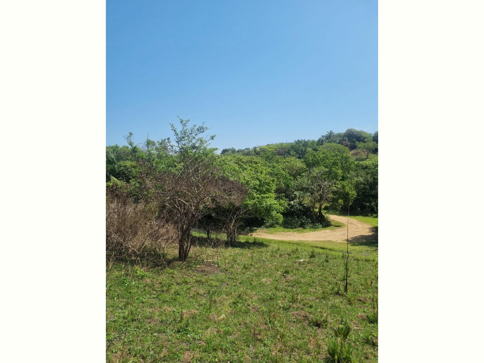  of property in Hibberdene