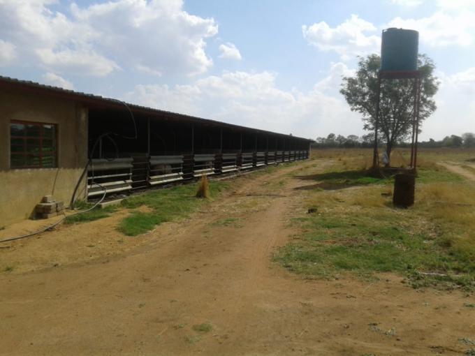 Farm for Sale For Sale in Pretoria North - MR596699