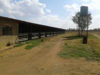 Farm for Sale for sale in Pretoria North