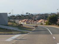  of property in Mossel Bay