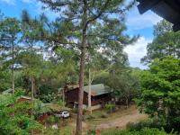 of property in Hibberdene